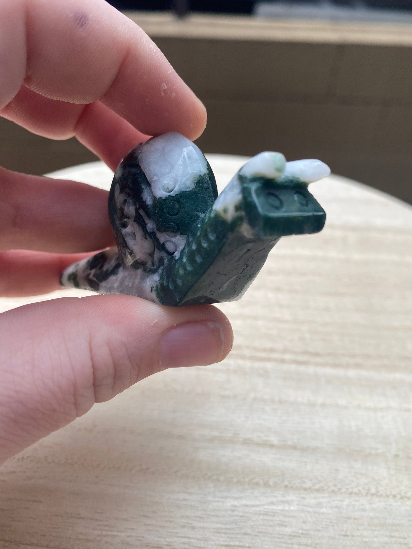 Moss Agate Snail
