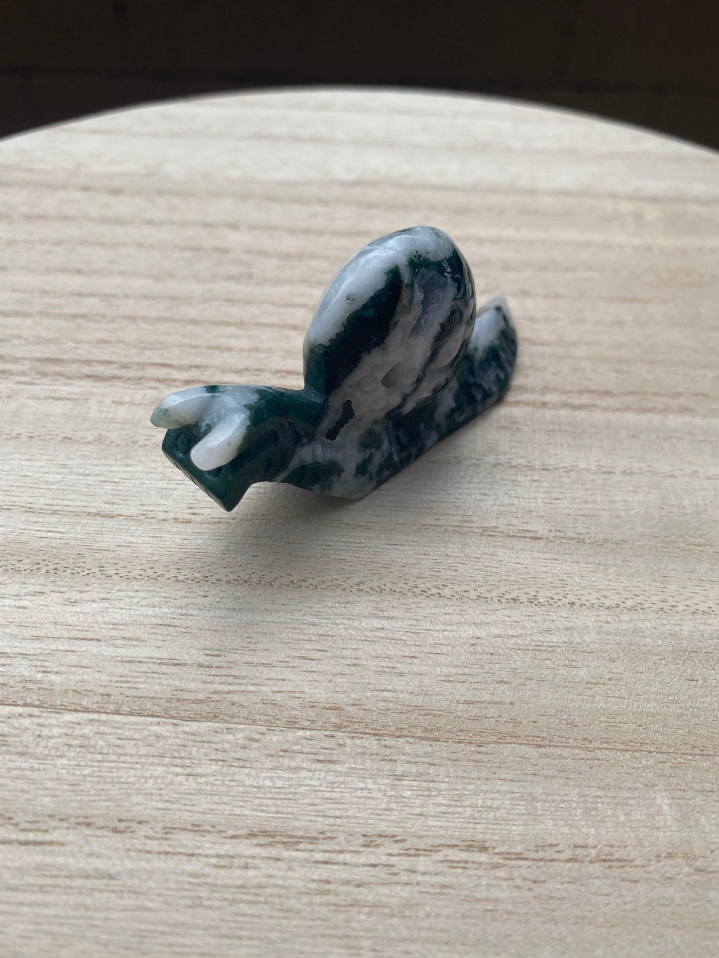Moss Agate Snail