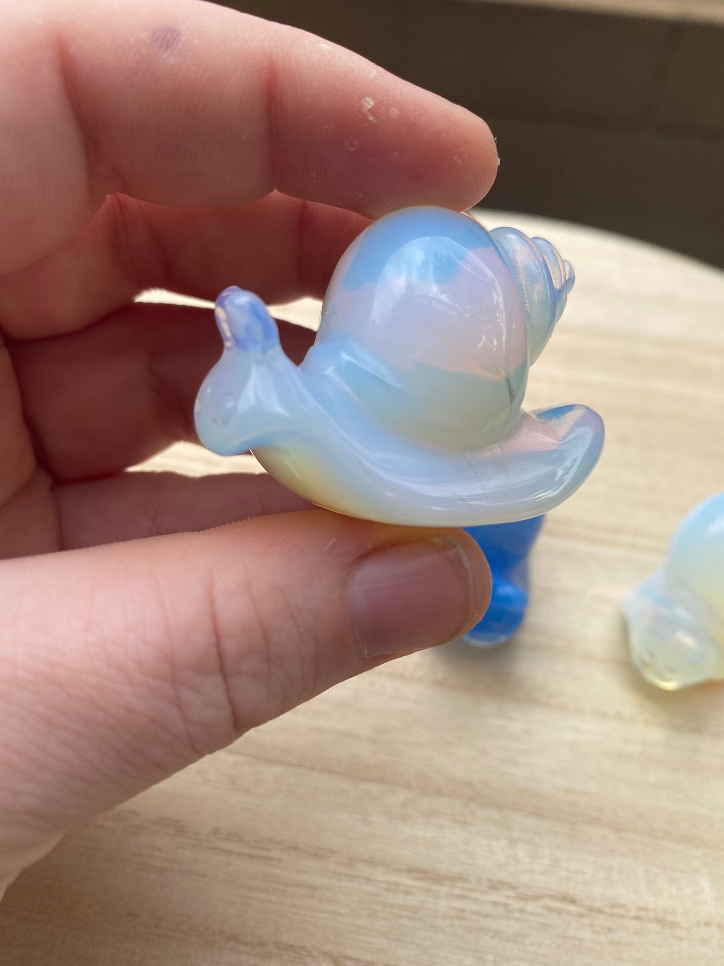 Snail Carving