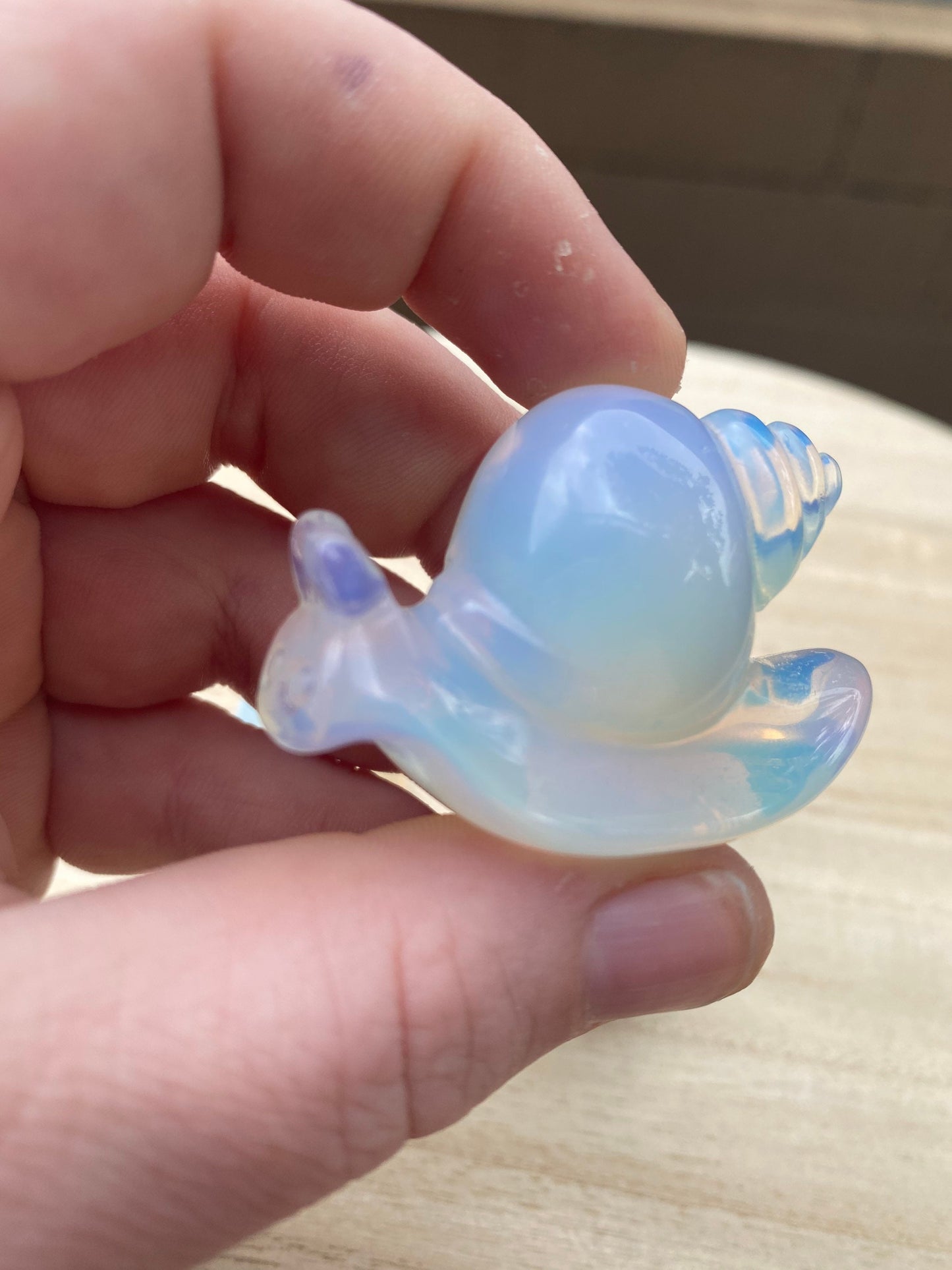 Snail Carving