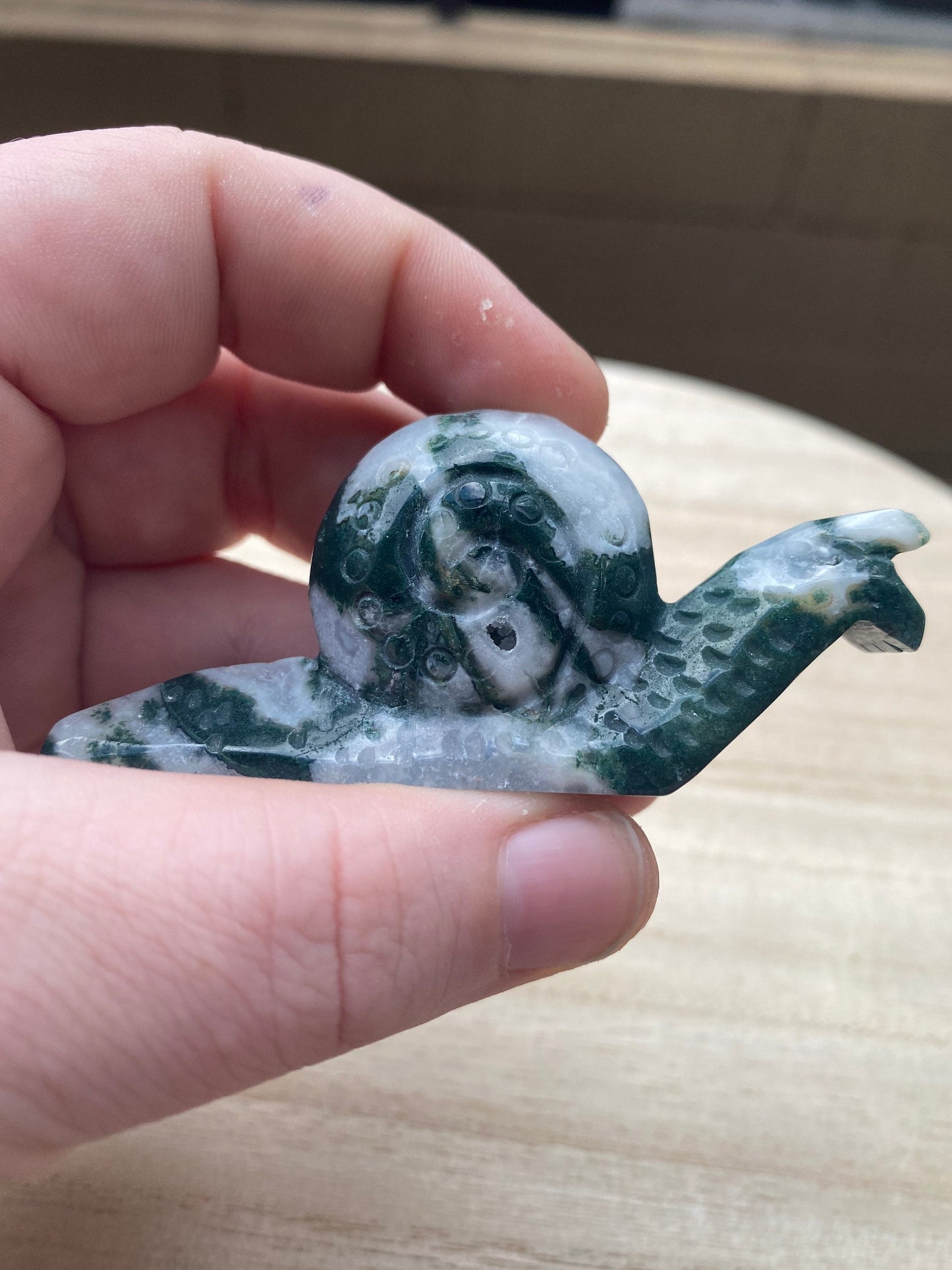 Moss Agate Snail